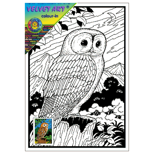 OWL Velvet Art Picture
