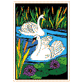 SWANS Velvet Art Picture