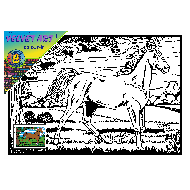 HORSE - TINTIN Velvet Art Picture