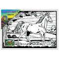 HORSE - TINTIN Velvet Art Picture