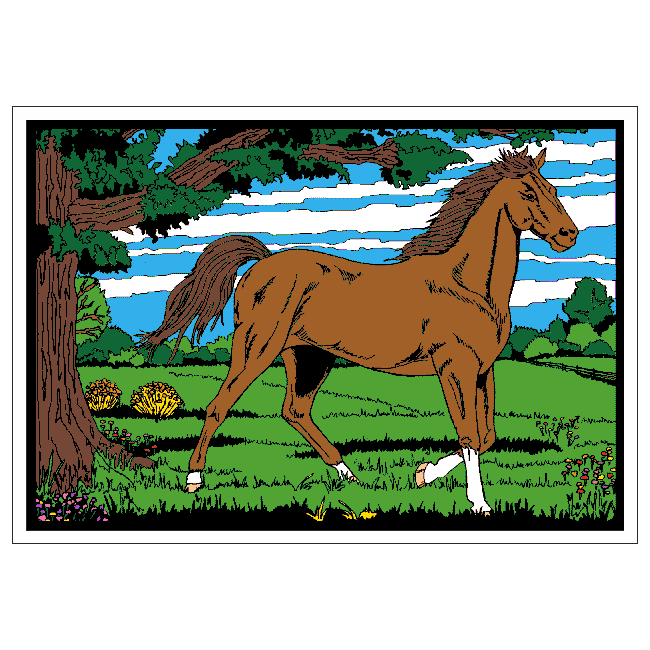 HORSE - TINTIN Velvet Art Picture