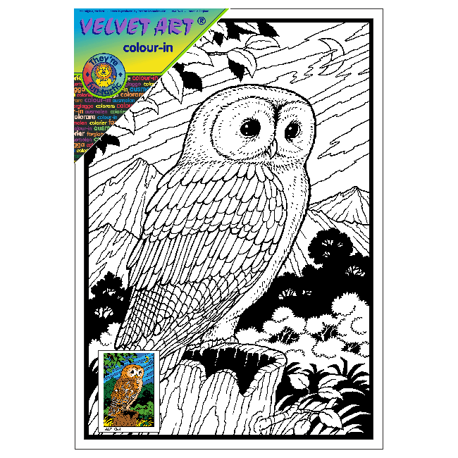 OWL Velvet Art Picture