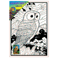 OWL Velvet Art Set, 12 Brush Pens, 5 Glitter and Glue
