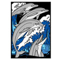 DOLPHIN Velvet Art Picture