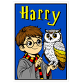 HARRY POTTER Velvet Art Picture