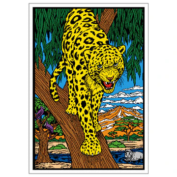ANIMAL BUNDLE - 3x Picture Boards with 36x Brush Pens, 15x Glitters & 3x Glue