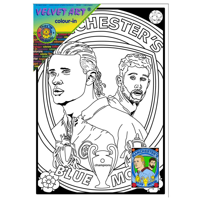 FOOTBALL - MANCHESTER CITY  Velvet Art Picture