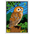 OWL Velvet Art Picture