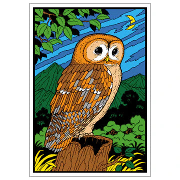 OWL Velvet Art Picture