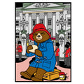 PADDINGTON at the PALACE Velvet Art Picture