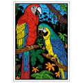PARROT  Velvet Art Set, 12 Brush Pens, 5 Glitter and Glue